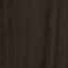 Midnight Walnut
